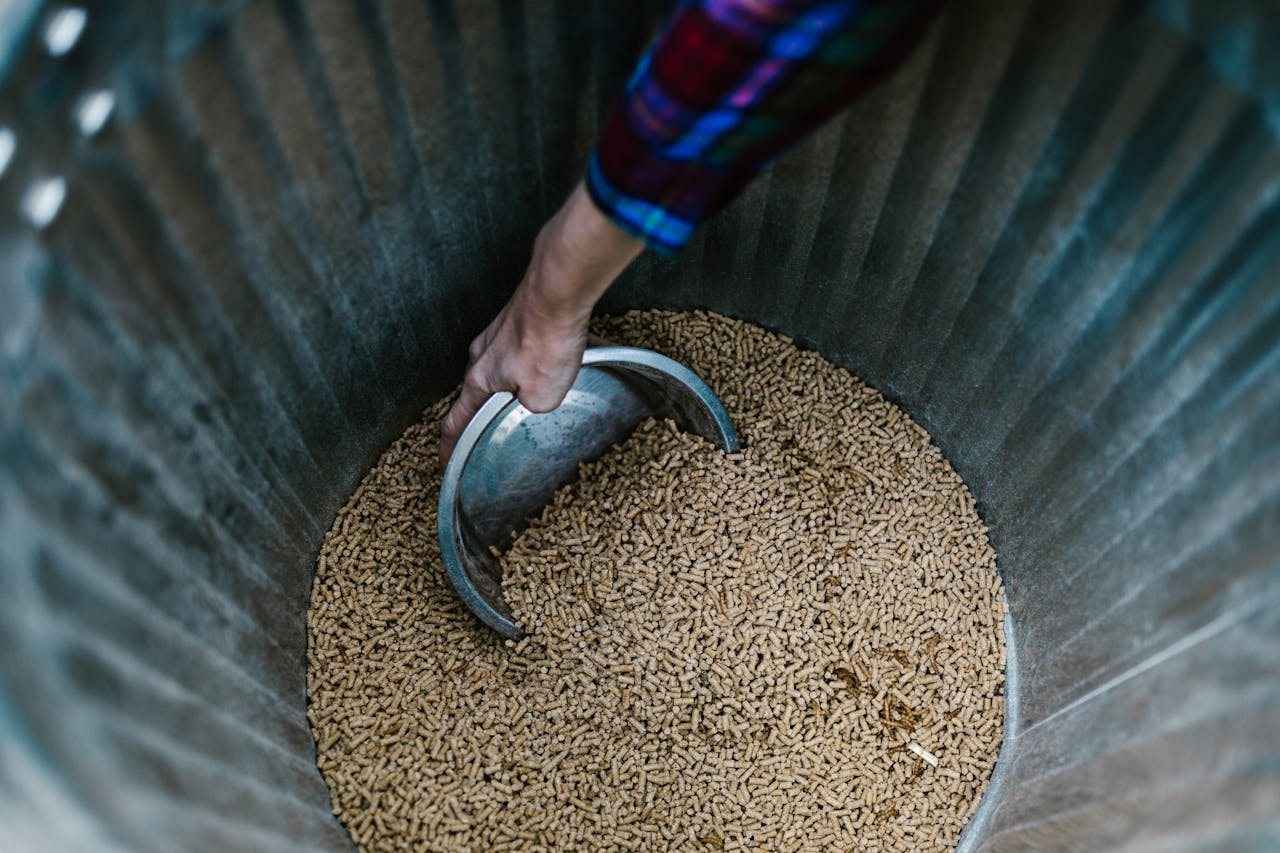 Close-up of a hand using a bowl to scoop animal feed from a metal bin.